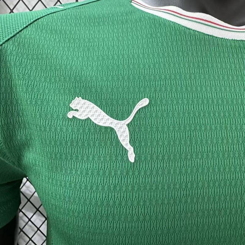 Maillot Palmeiras Player Version 26/27