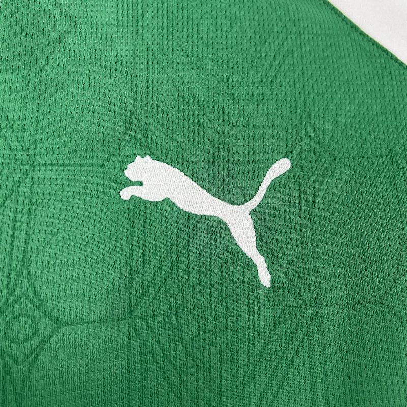 Camiseta Palmeiras Local 25/26