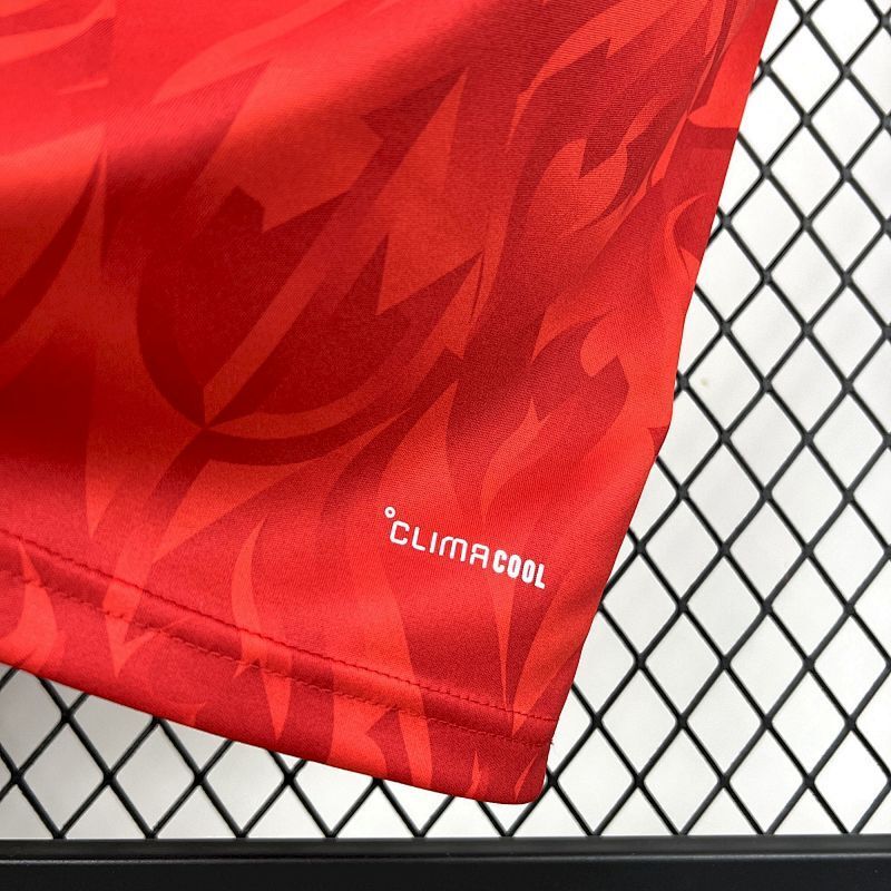 Maillot Belgique Domicile Coupe du Monde 2026