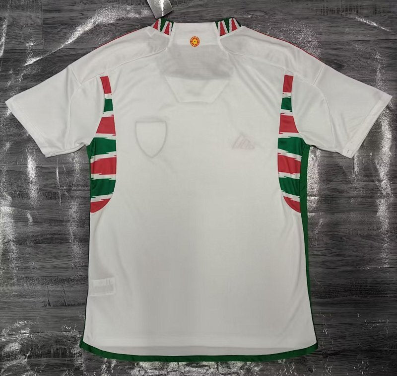 Maillot Pays de Galles Extérieur 2022