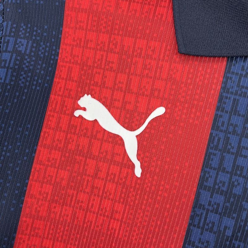 Maillot Cerro Porteno Uniforms Domicile 25/26
