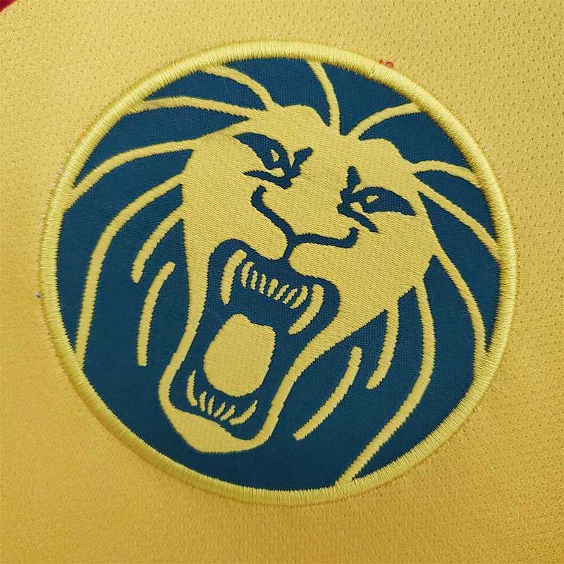 Maillot Cameroun yellow Édition spéciale 25/26