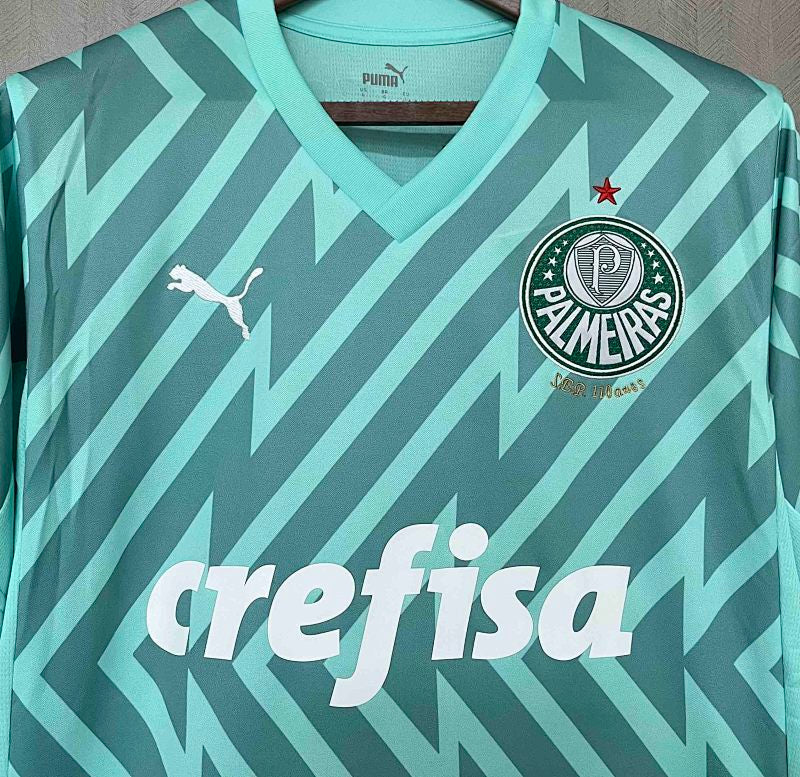 Palmeiras Green Jersey 24/25