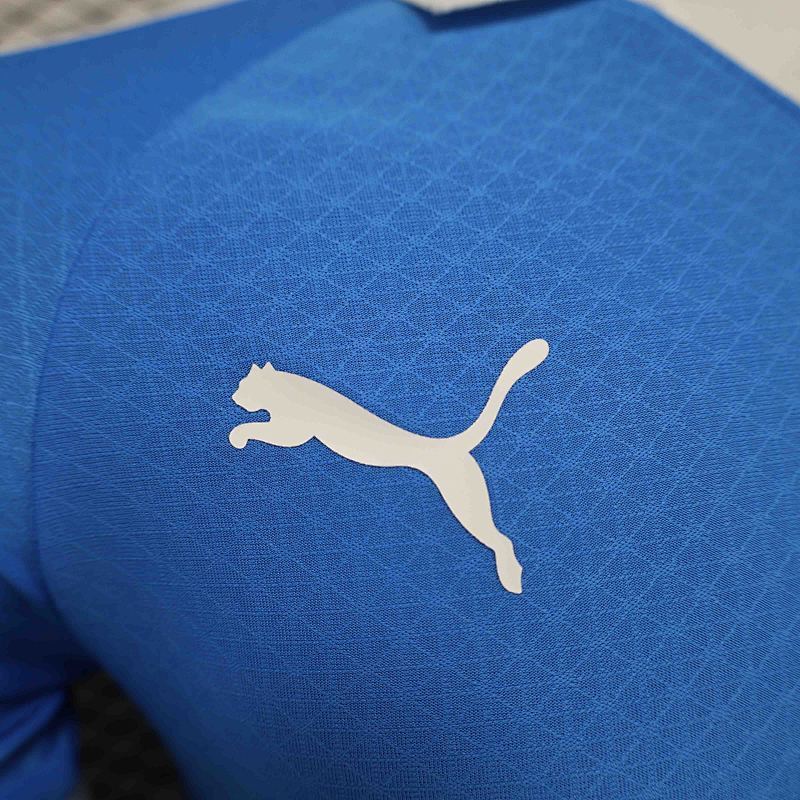 Maillot Al Hilal Player Version 24/25