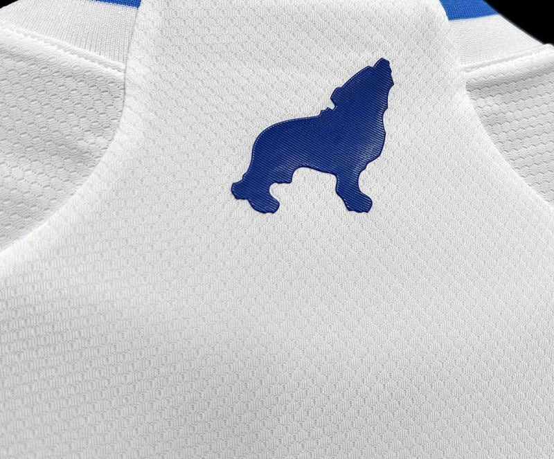 Maillot Paysandu Extérieur 24/25