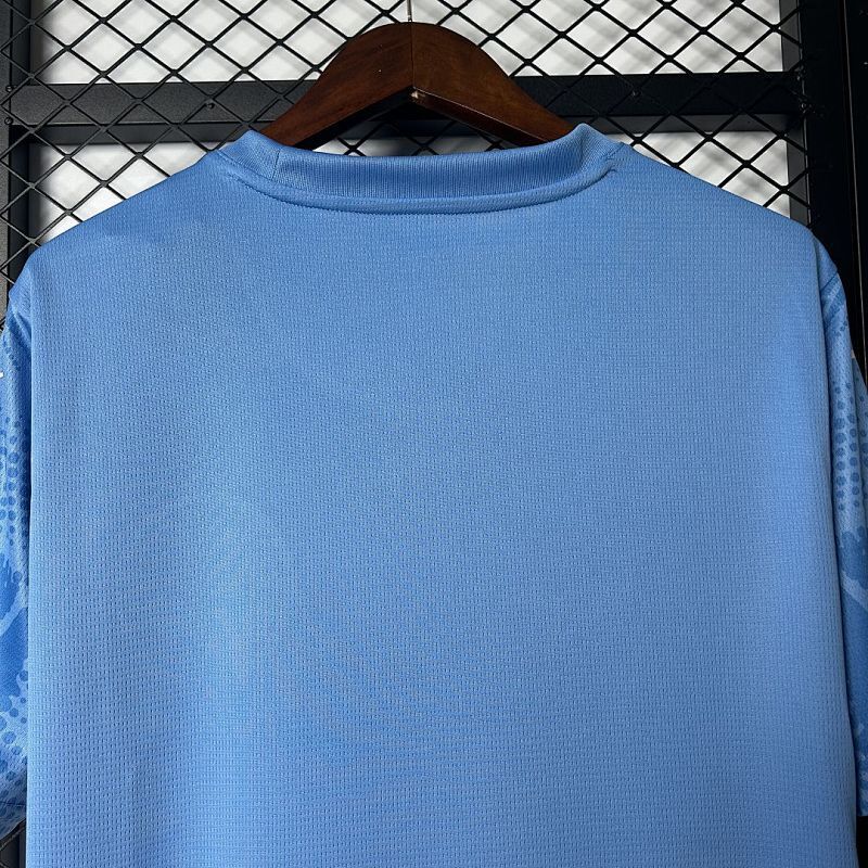 Maillot Palmeiras Bleu 25/26