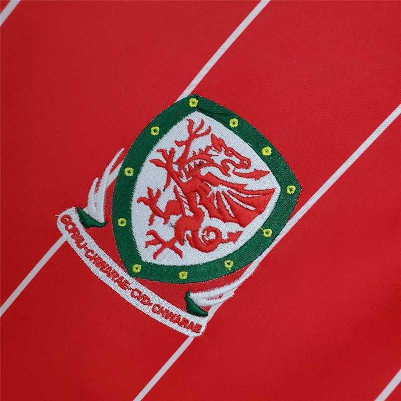 Maillot Pays de Galles Domicile 15/16