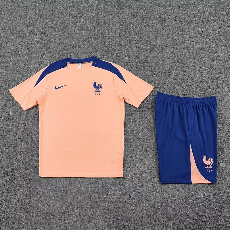 Survêtement France Gold Tracksuits 25/26