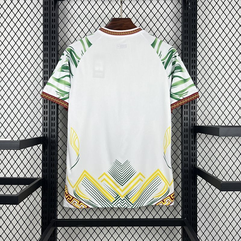 Maillot Mali Supply Third 25/26