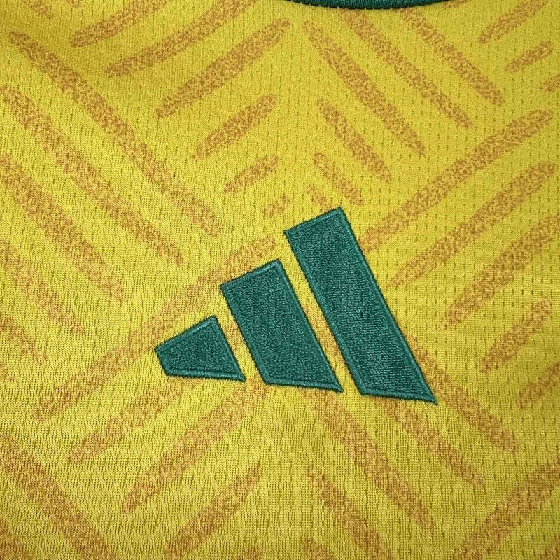Maillot Afrique du Sud Domicile Coupe du Monde 2026