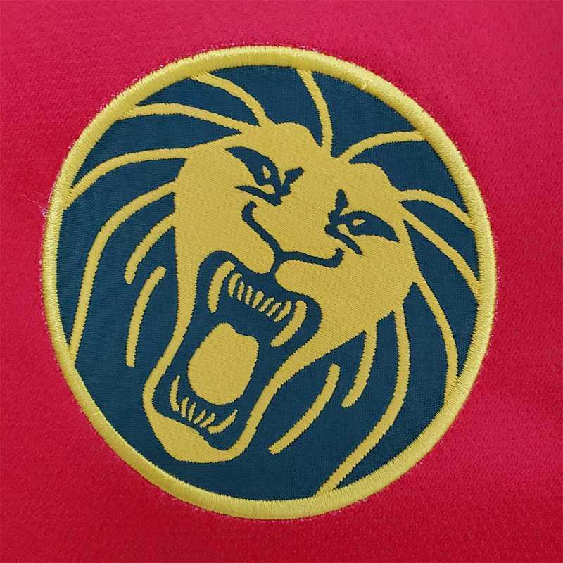 Maillot Cameroon Édition spéciale 25/26