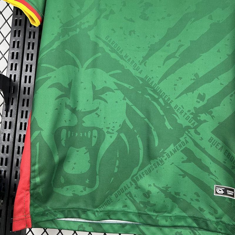 Maillot Cameroun Domicile 25/26
