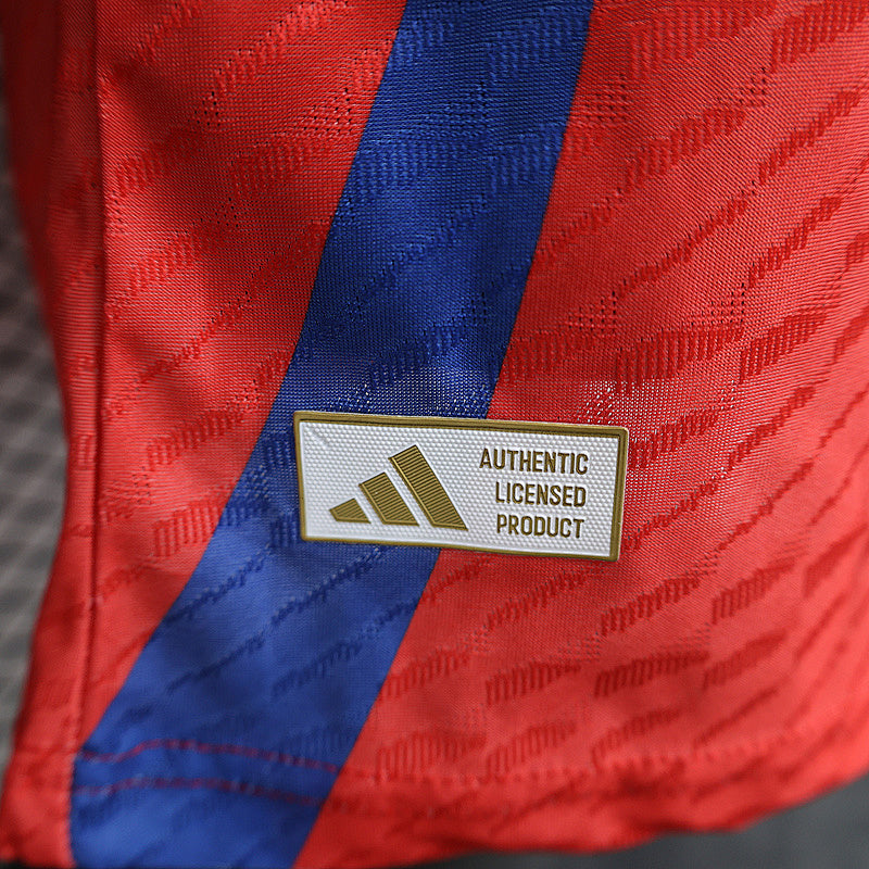 Maillot Spain Édition spéciale Player Version 24/25