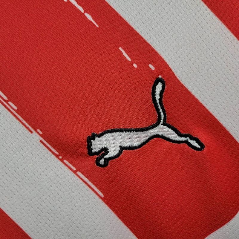 Maillot PSV Eindhoven Domicile 24/25