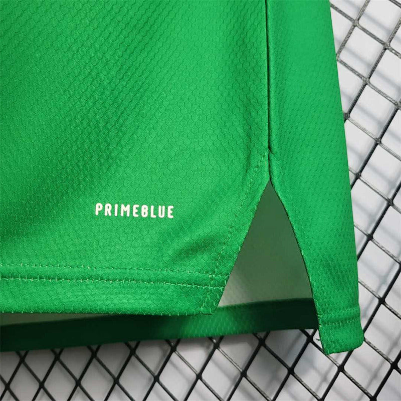 Maillot Femme Northern Ireland Domicile 25/26