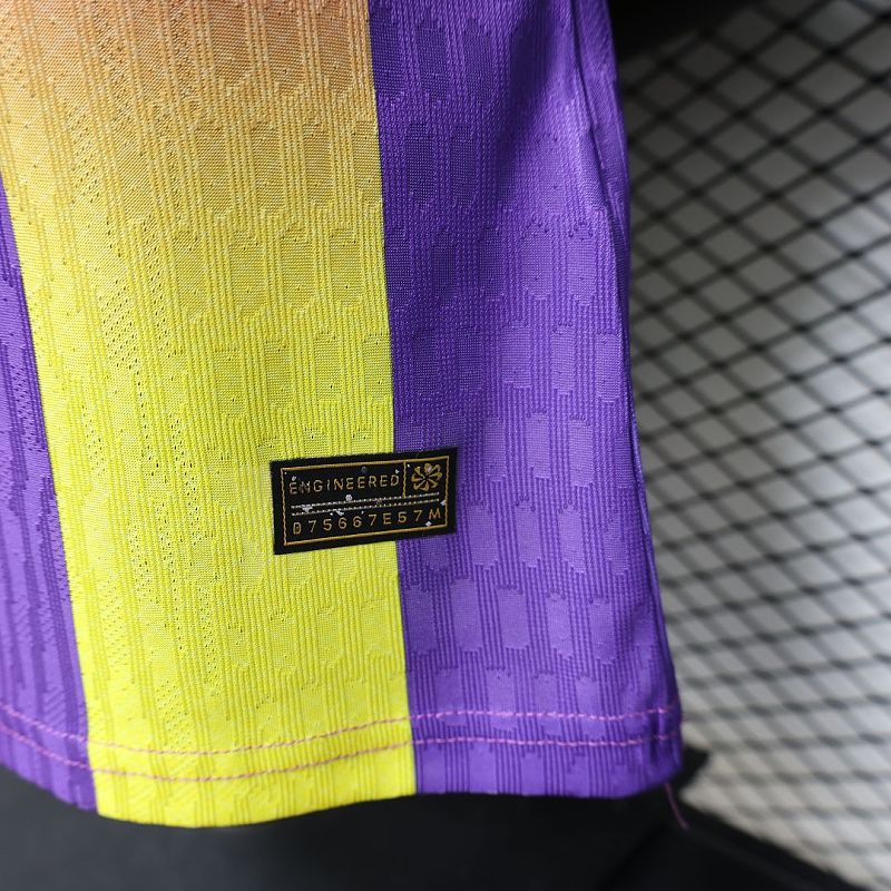 Maillot FC Barcelone Édition spéciale Player Version 25/26