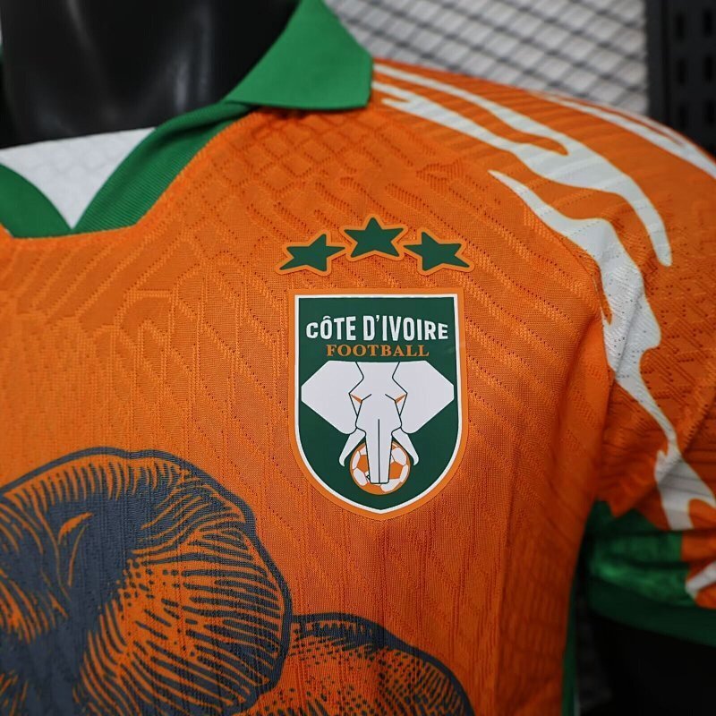 Maillot Ivory Coast Orange Édition spéciale Player Version 25/26