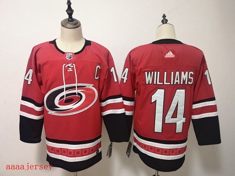 Carolina Hurricanes Ice Jersey
