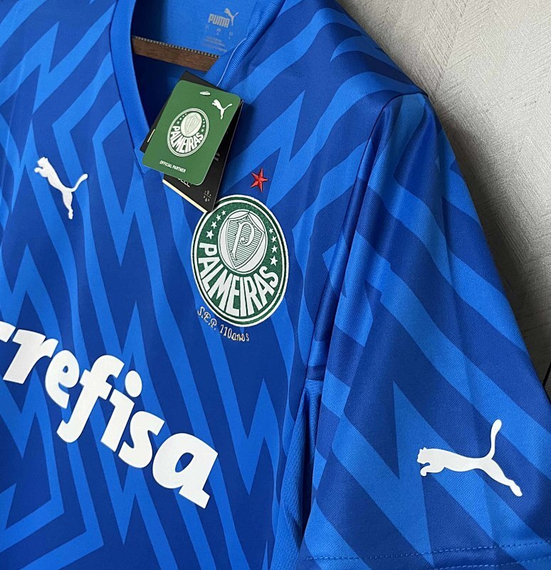 Maillot Palmeiras Gardien 24/25