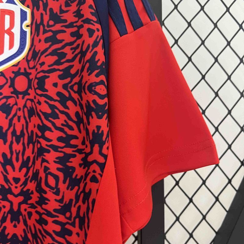 Maillot Costa Rica Domicile 25/26