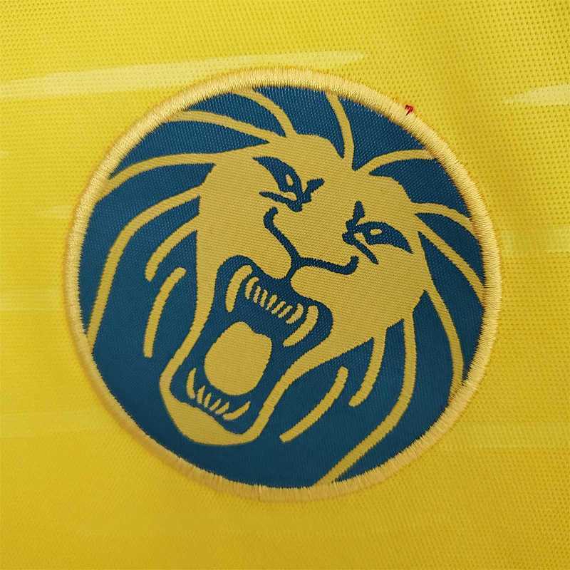 Maillot Cameroon yellow 25/26