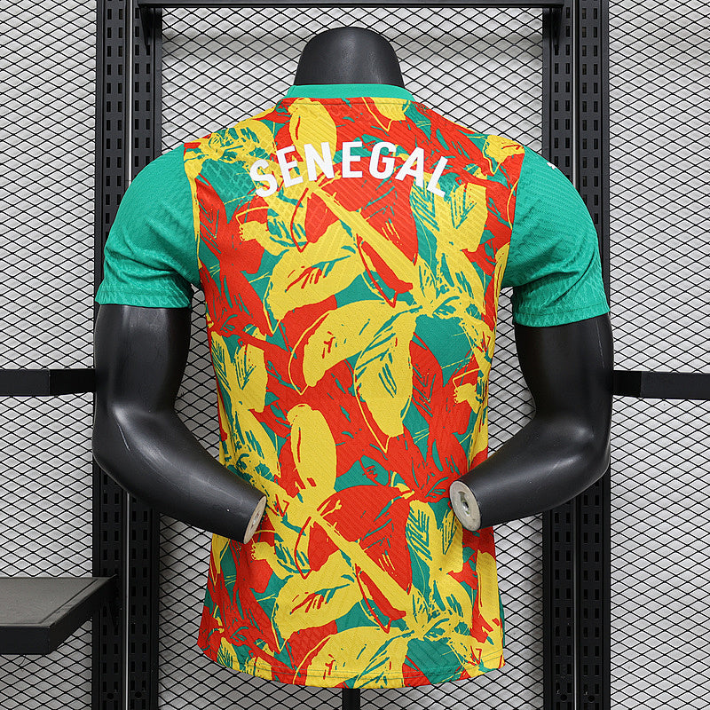 Camiseta Senegal Pre-Partido 24/25