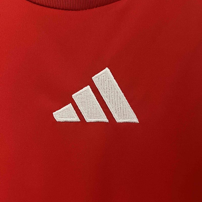 Maillot Hungary UEFA Euro Domicile 25/26