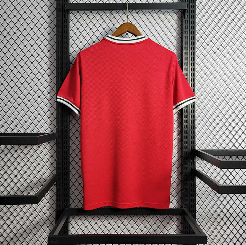 Pays de Galles Home Jersey 2022
