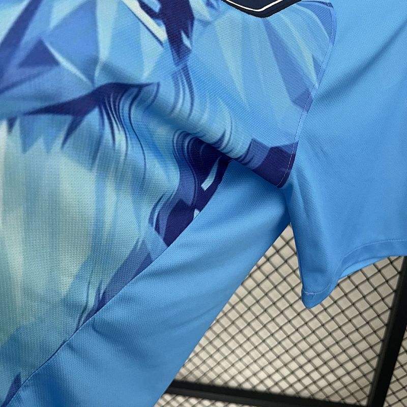 Maillot Netherlands Lion Édition spéciale 25/26