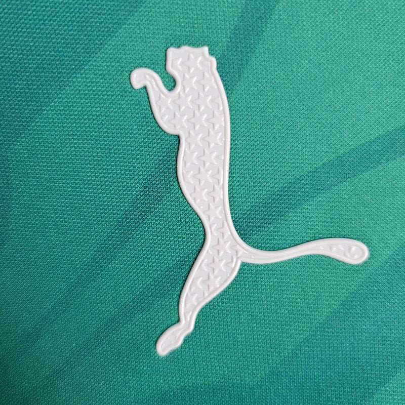 Maillot Palmeiras Prématch 24/25