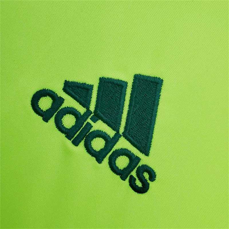 Maillot Palmeiras Vert 10/11