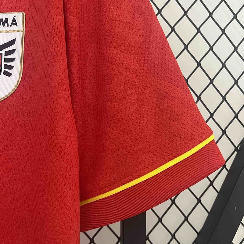 Maillot Panama Copa America Domicile 25/26