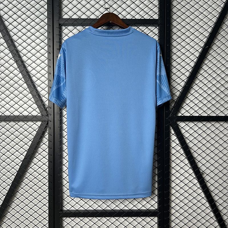 Maillot Palmeiras Bleu 25/26