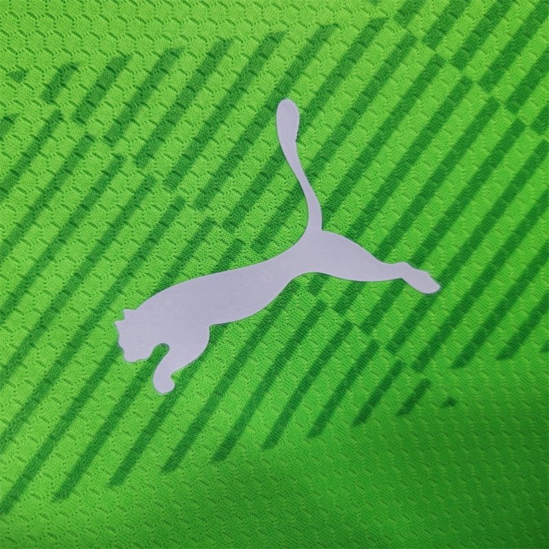Maillot Palmeiras Vert 23/24