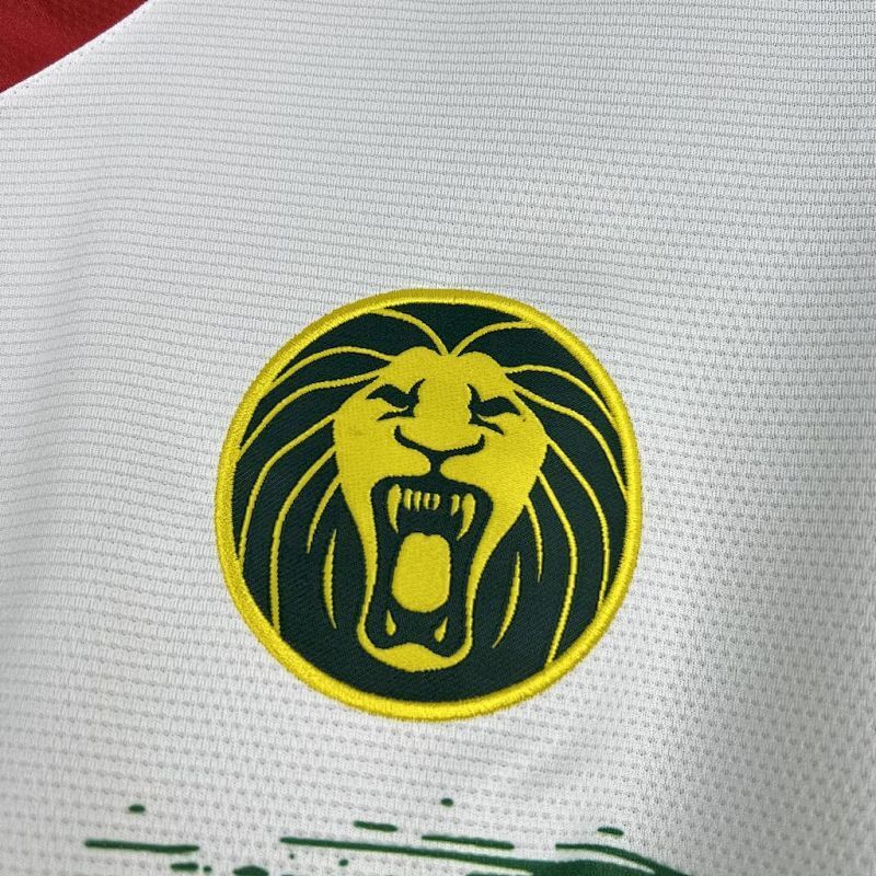Maillot Cameroun Third 25/26