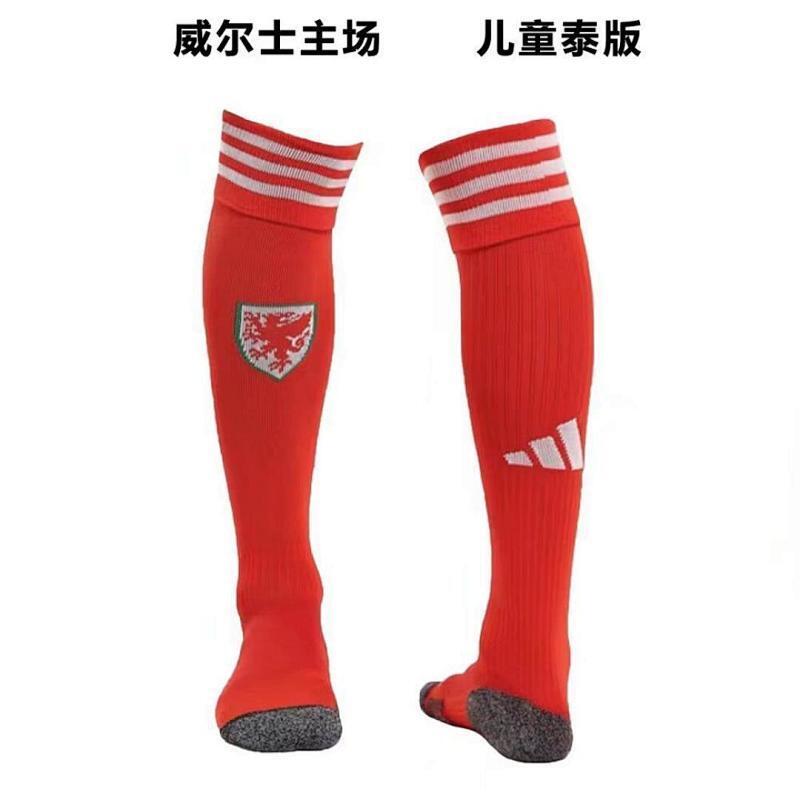 Pays de Galles Home Jersey 2022