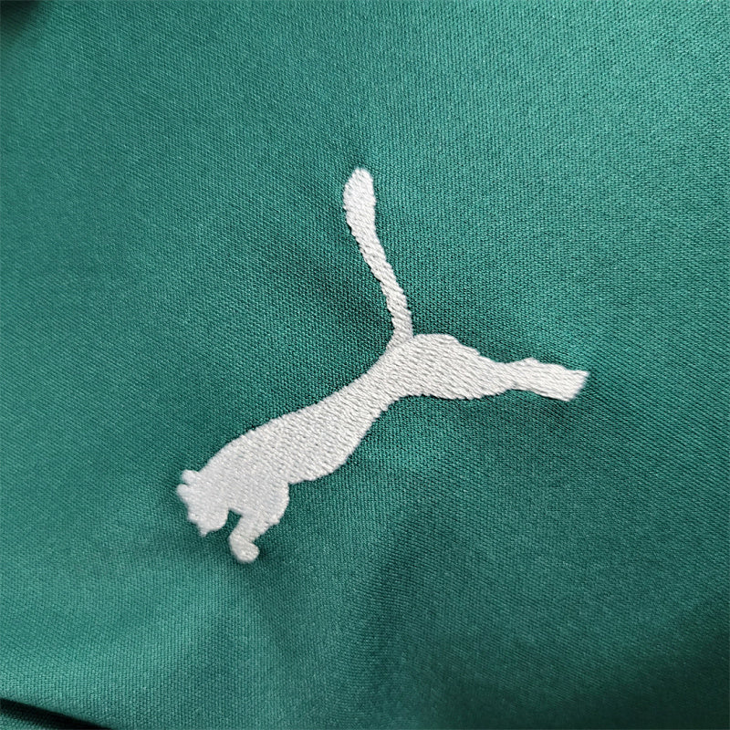 Polo Palmeiras Vert 23/24