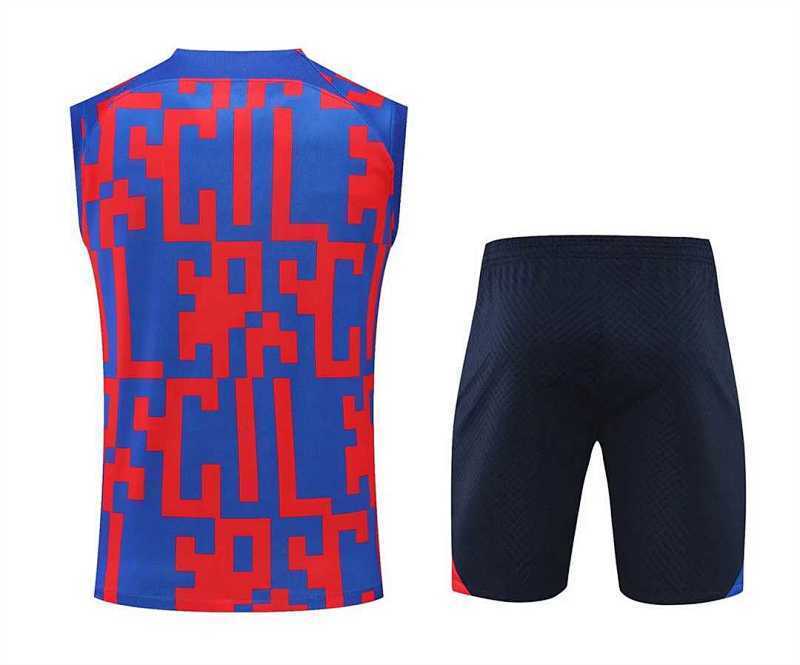 Camiseta sin Mangas FC Barcelona Azul Rojo 22/23