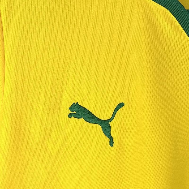 Maillot Palmeiras Third 25/26