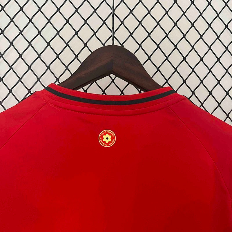 Maillot Wales Domicile 25/26