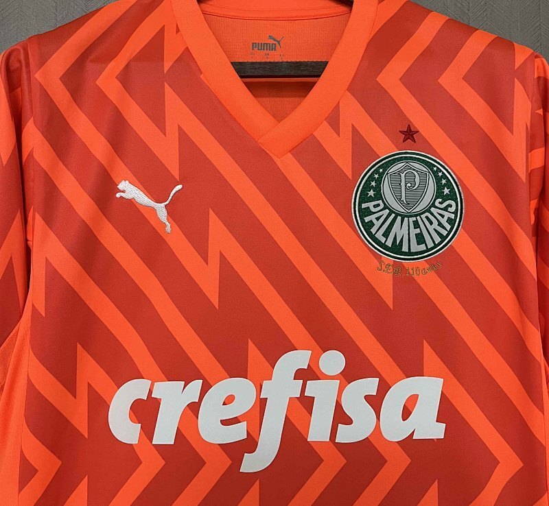 Maillot Palmeiras Orange 24/25