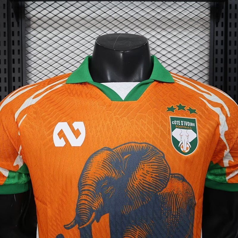 Maillot Ivory Coast Orange Édition spéciale Player Version 25/26