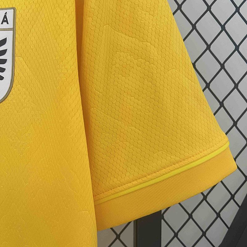 Maillot Panama Copa America Third 25/26