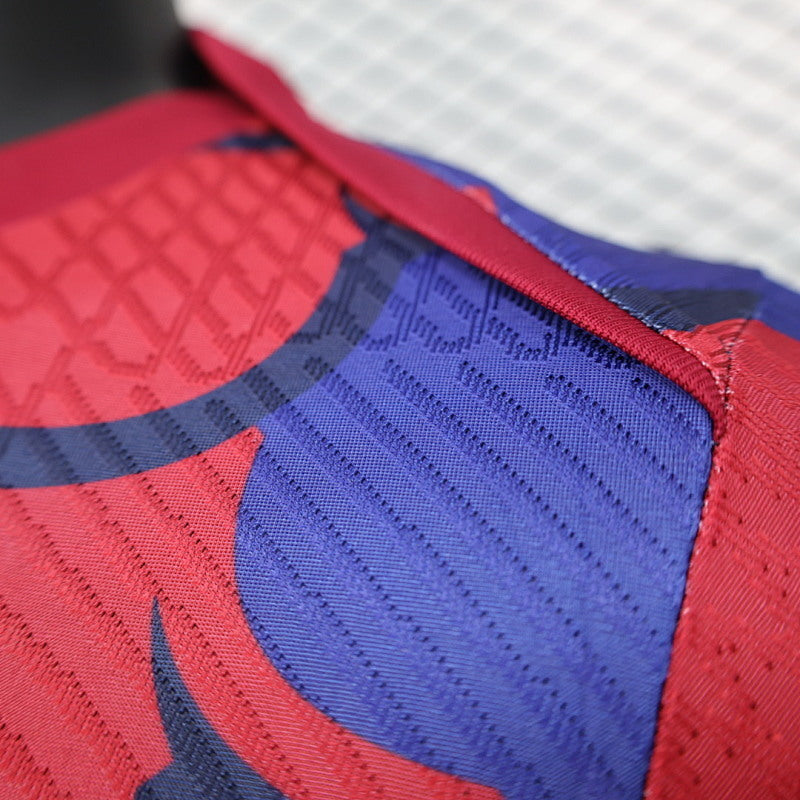 Maillot FC Barcelone Édition spéciale Player Version 24/25