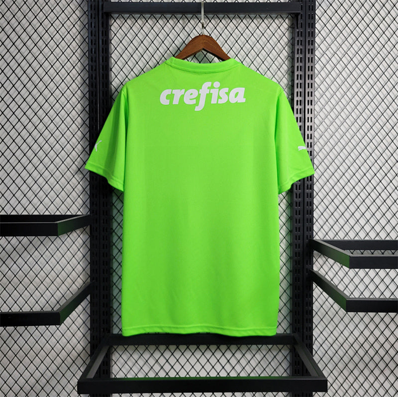Maillot Palmeiras Vert 23/24