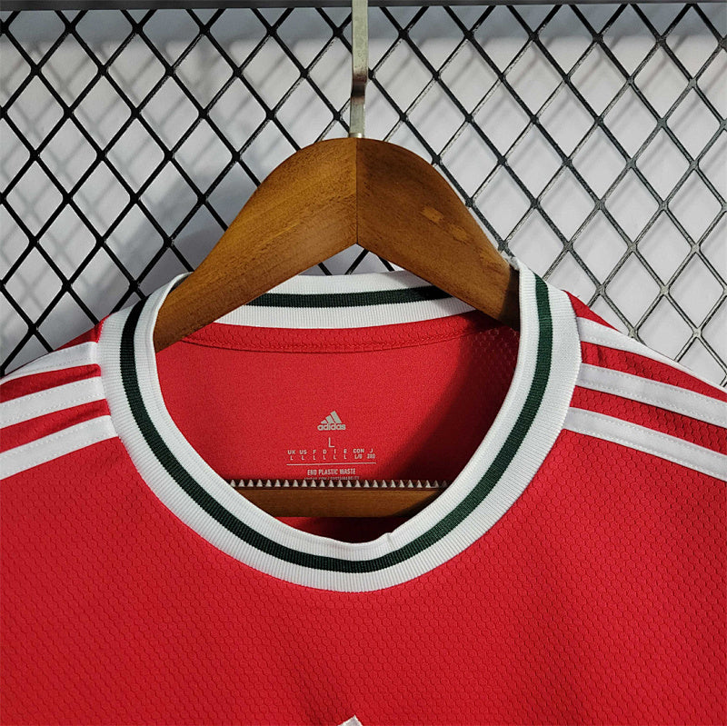 Pays de Galles Home Jersey 2022