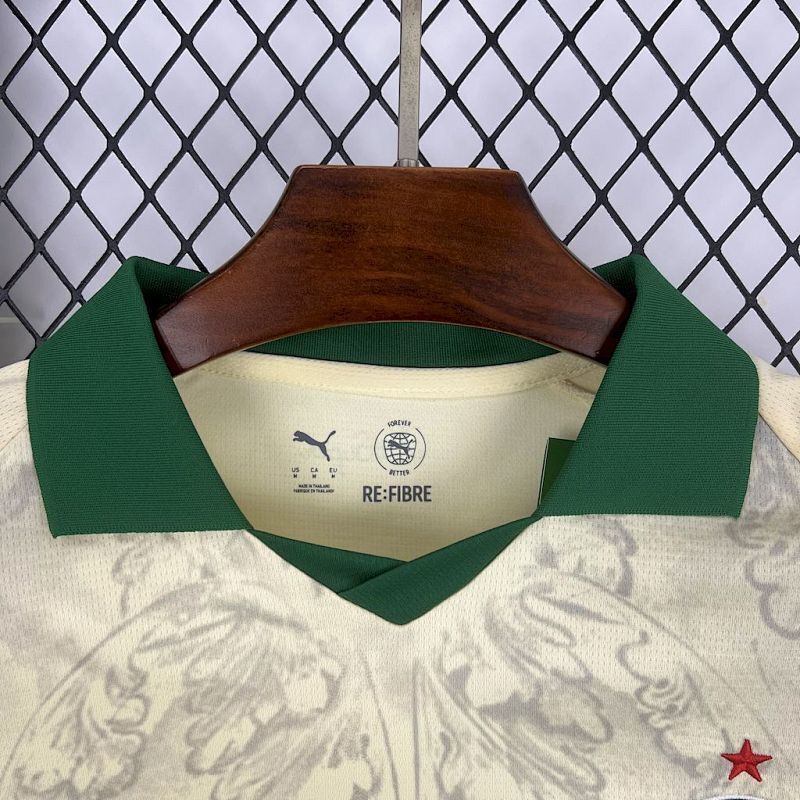 Maillot Palmeiras Édition spéciale 25/26