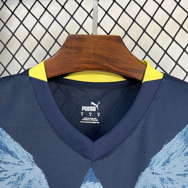 Maillot Fenerbahçe Third 24/25