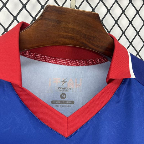 Maillot Haïti T Domicile 2026