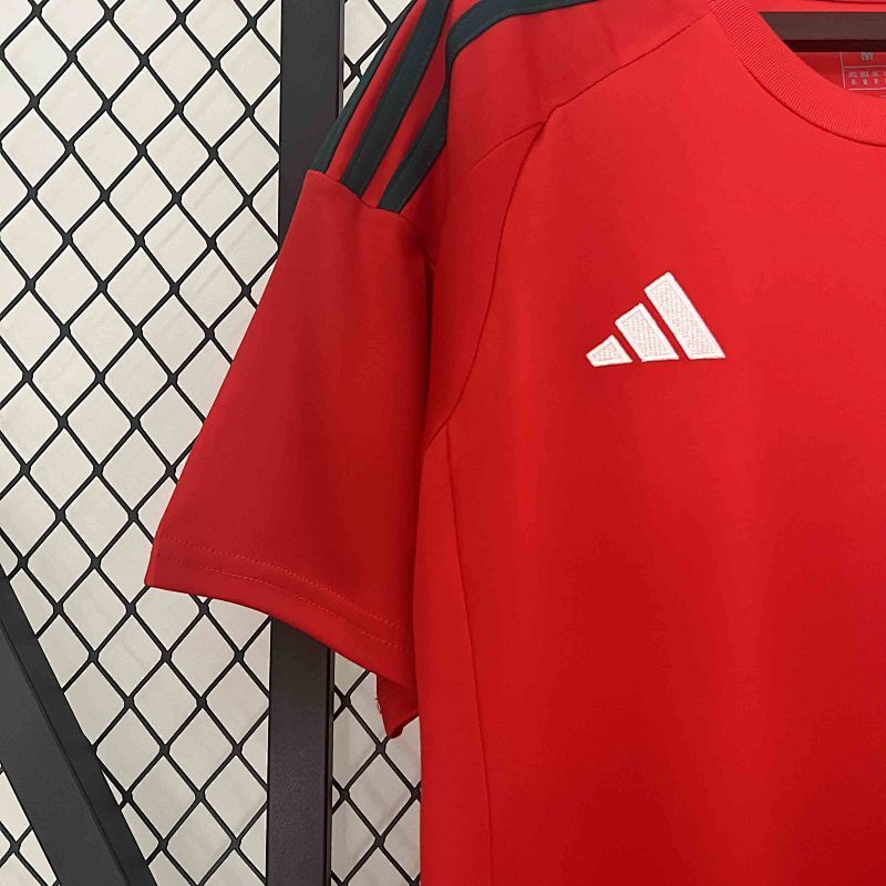 Maillot Wales Domicile 25/26